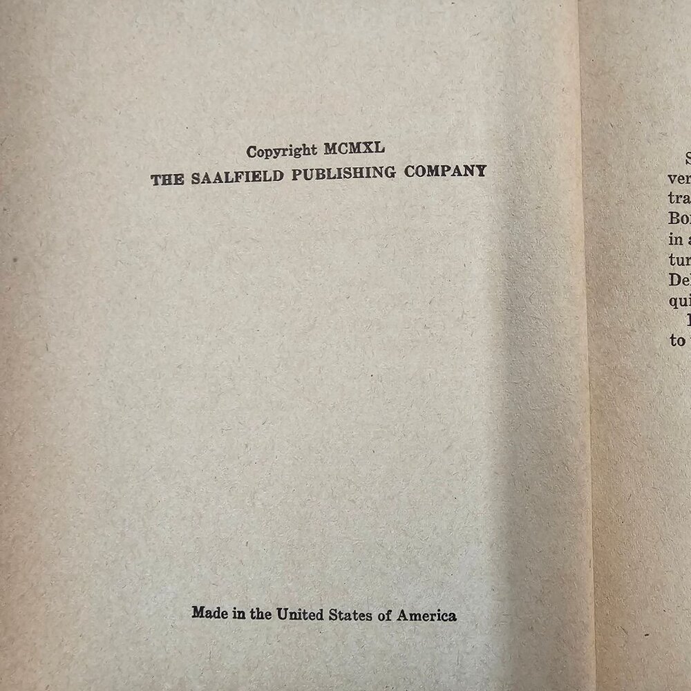The Bobbsey Twins Laura Lee Hope In The Country 1940 Saalfield Publishing HC Lot - Picture 8 of 14